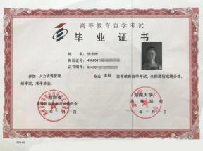 自學考試畢業證圖片樣本詳解：樣式、內容與權威性解析